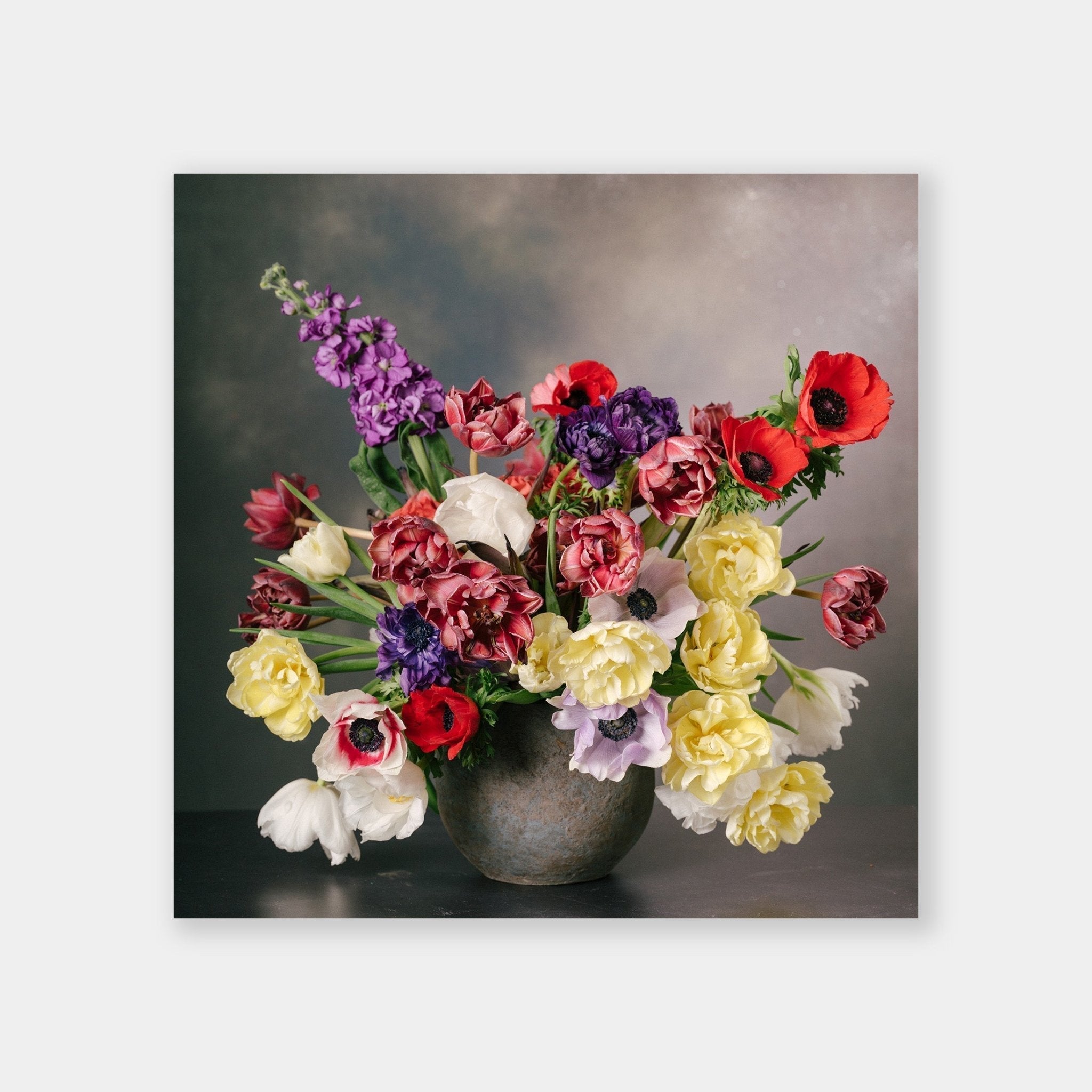 Barocco - OrygoFlora