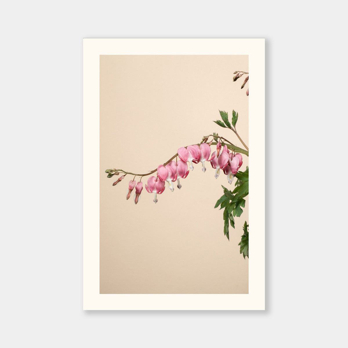 Cuori in fiore Aurea