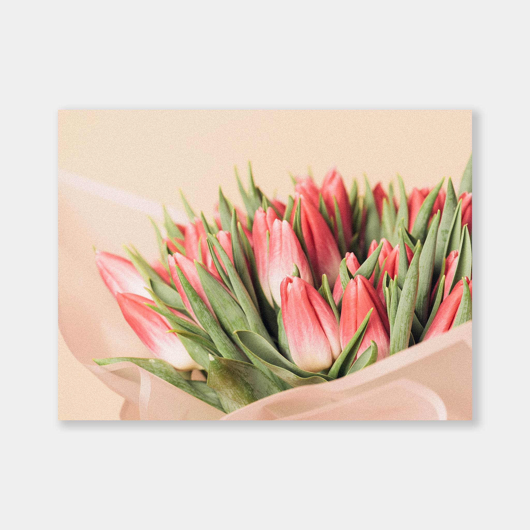 Bouquet di tulipani - OrygoFlora - 1 - Stampa fine art