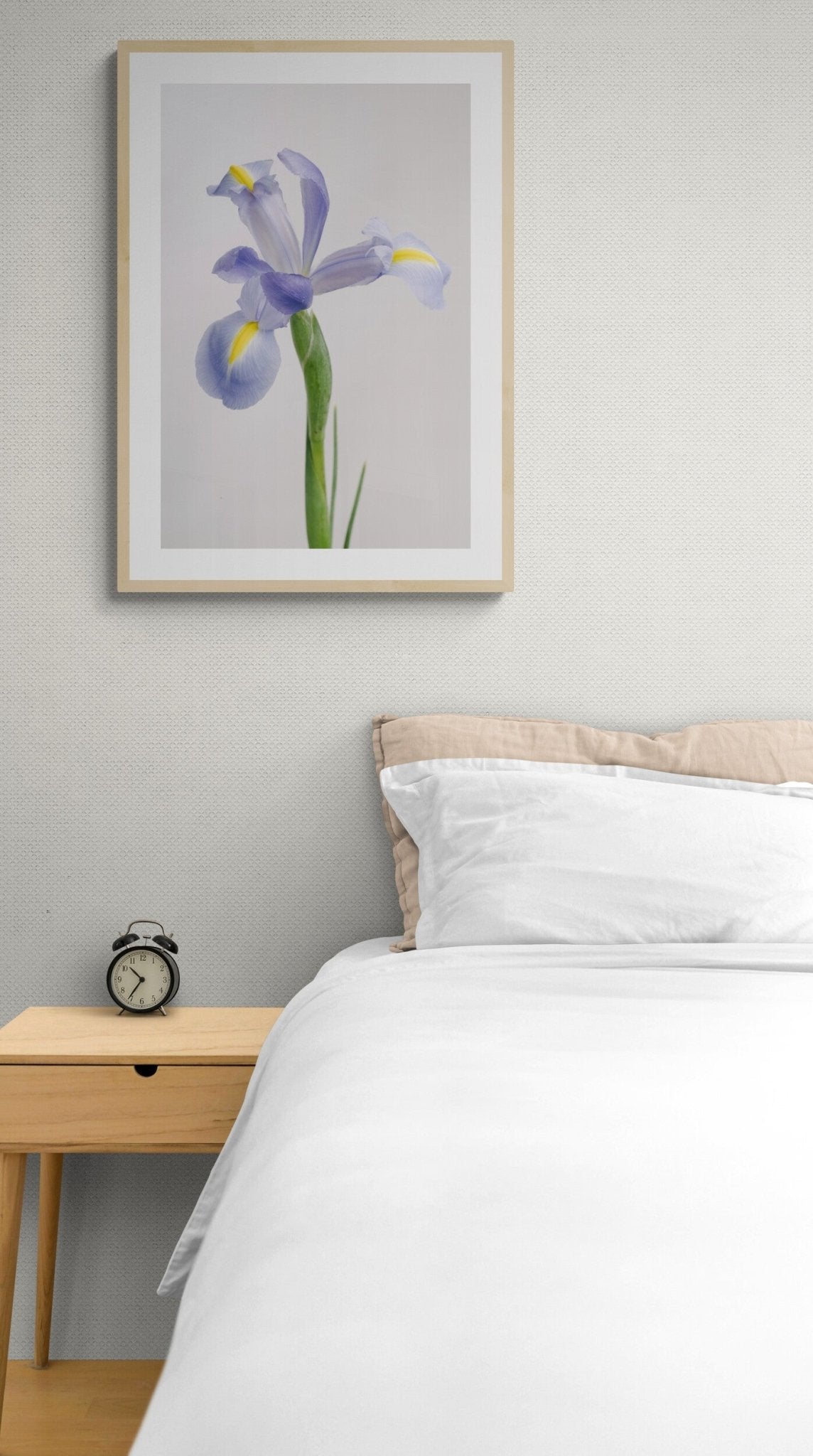 Iris Shanghai - OrygoFlora - 2 - Stampa fine art