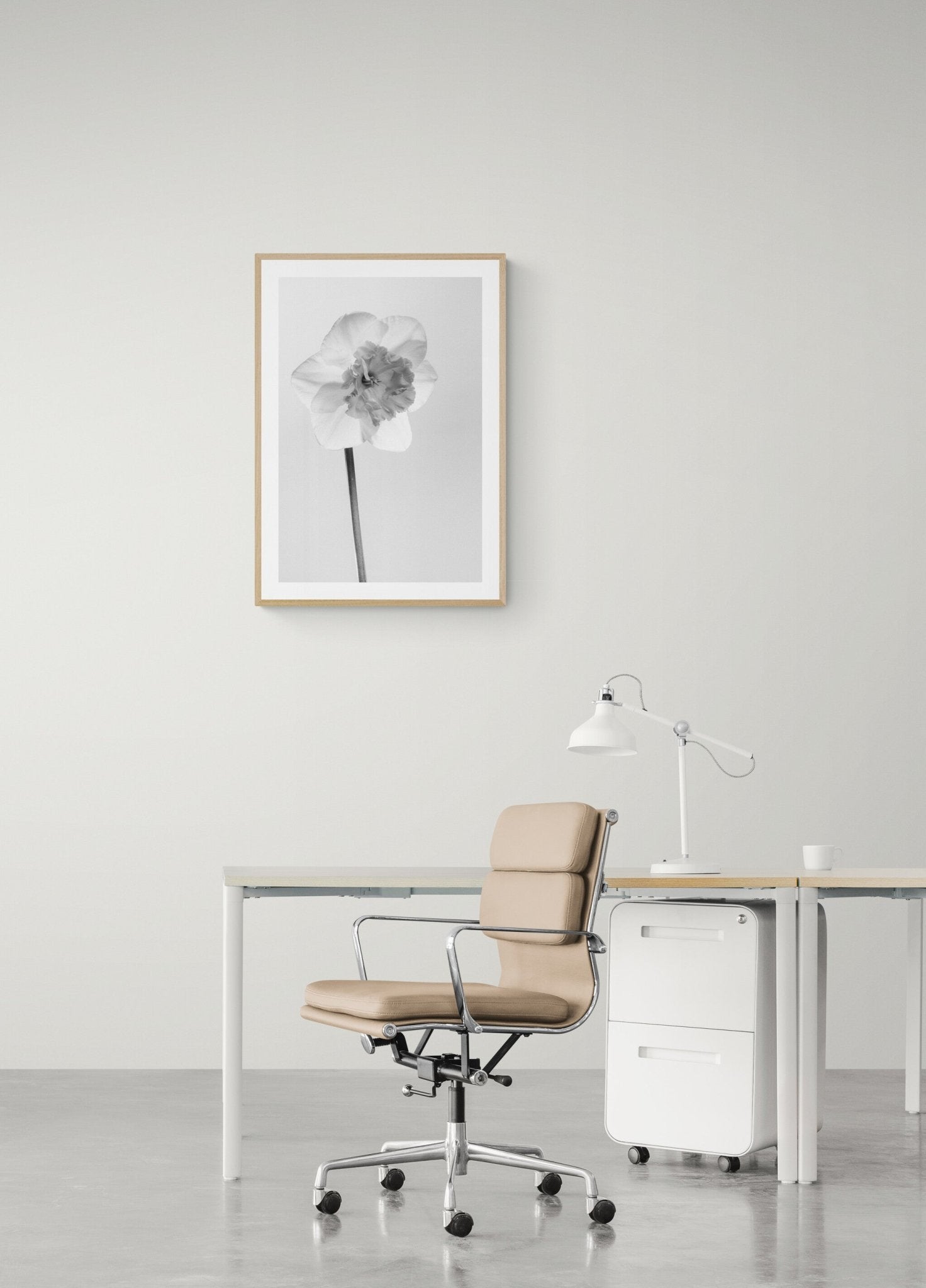 Narciso in Bianco e Nero - OrygoFlora - 2 - Stampa fine art