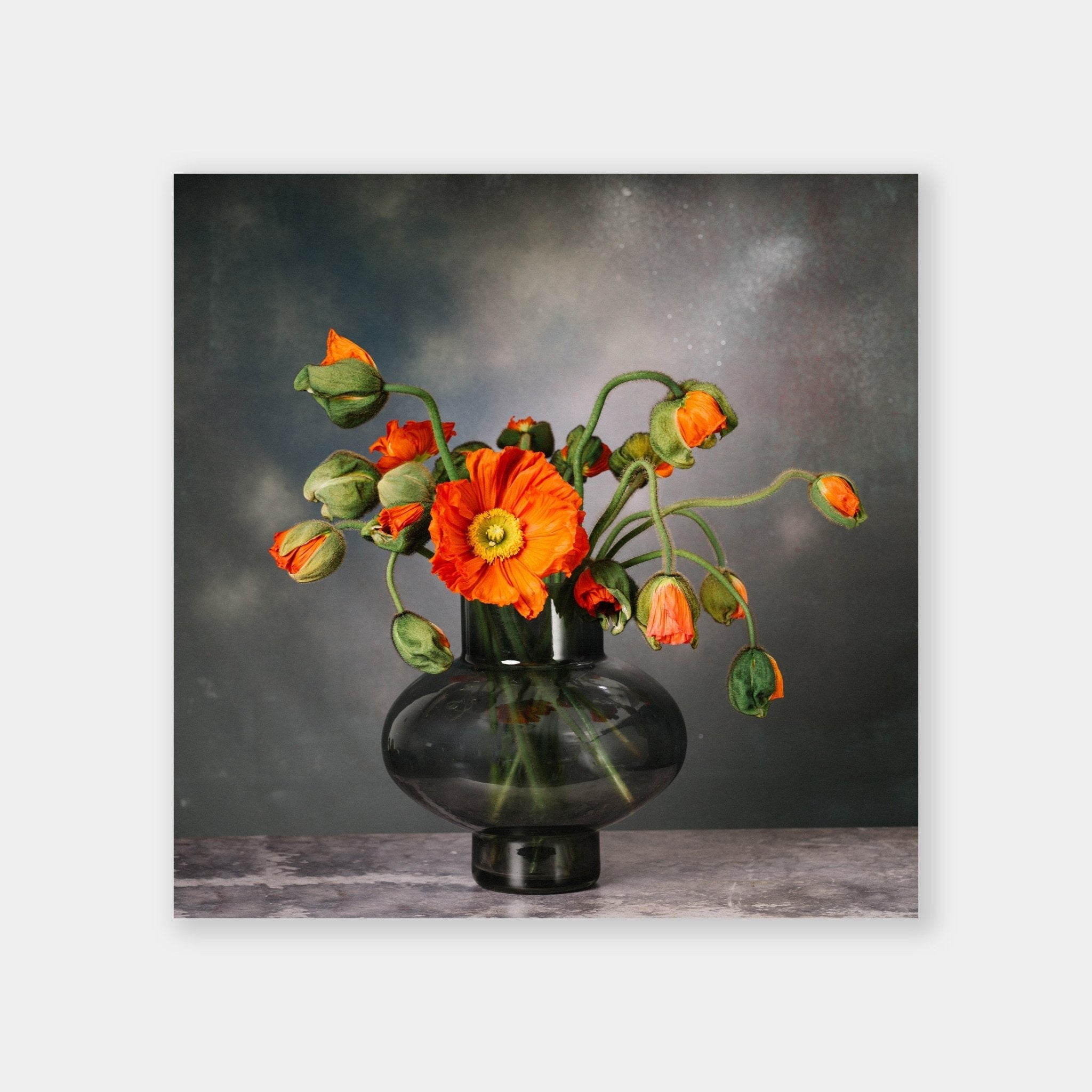 Papaveri Arancio - OrygoFlora - 1 - Stampa fine art