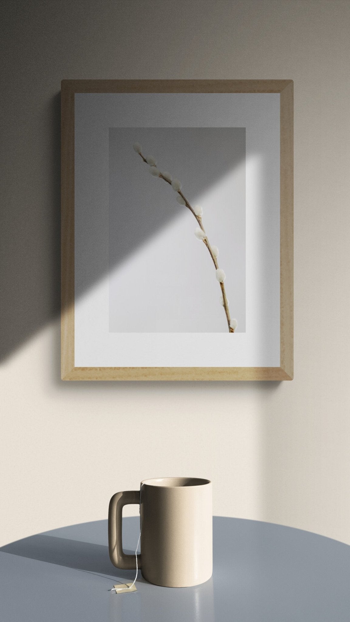 Salix Caprea - OrygoFlora - 2 - Stampa fine art