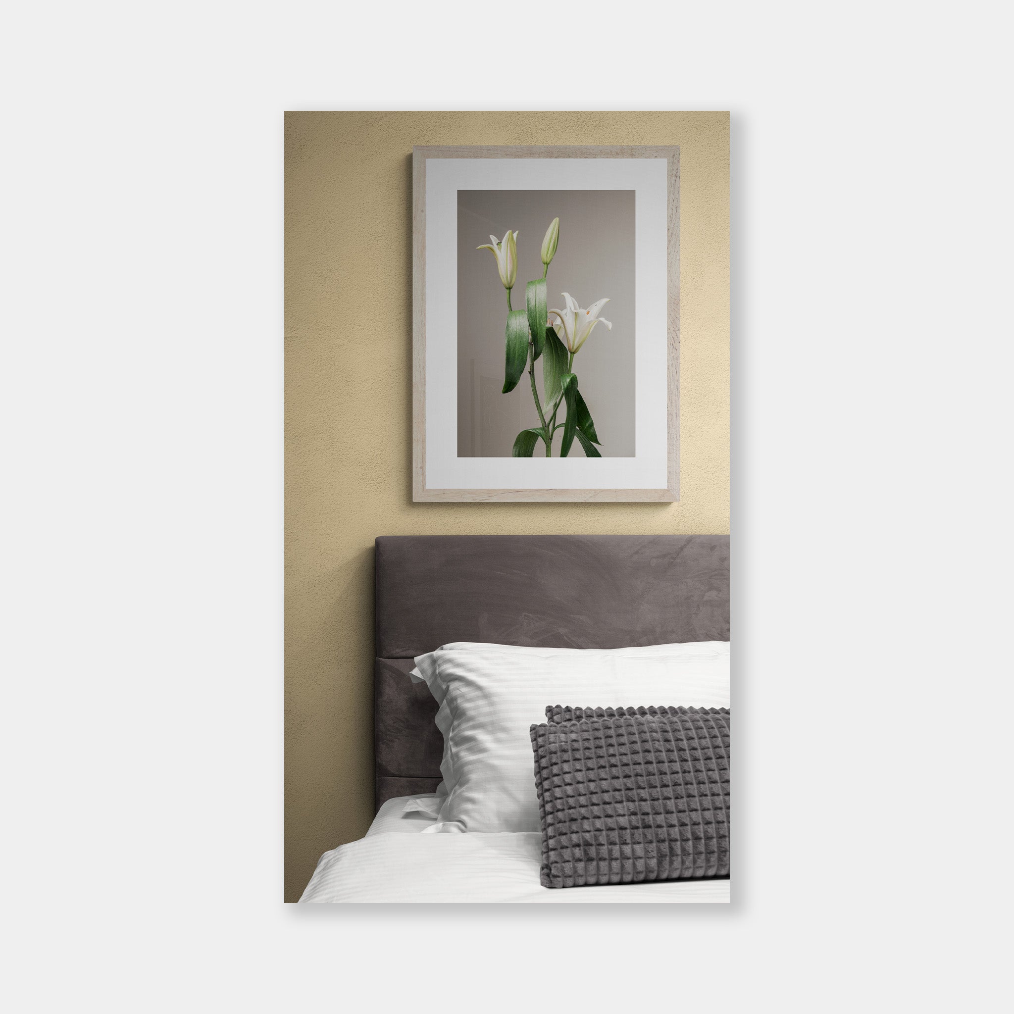 White Lilium - OrygoFlora - 3 - Stampa fine art